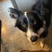 David Lucken - Facebook