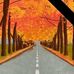 David Lucken - Facebook