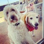 David & Lucy - @david.and.lucy - Instagram