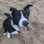 david ludlam - @david.ludlam - Instagram