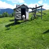 David Ludvík - @drak781 - TikTok