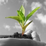David Ludwick - @freetheseedint - Instagram