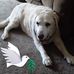 David Ludwick - Facebook
