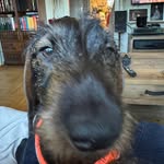David Lundberg - @david.lundberg.58 - Instagram