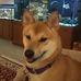 David Lundberg - Facebook