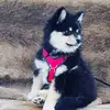 David Lundberg - @davidlundberg8 - TikTok