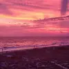 David Lundstrom - @david.lundstrom7 - TikTok
