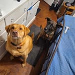 David Lundstrom - @lundstromdavid58 - Instagram