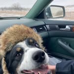 David Lundstrom - @d761776l - Instagram