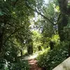 David Luscombe596 - @davidluscombe596 - TikTok