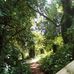 David Luscombe - Facebook