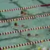 David Lussier - @david.lussier4 - TikTok