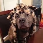 David Lussier - @lussier_david - Instagram