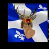 mon tabarnac - @davidlussier5089 - TikTok