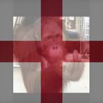 David Lye - @lye9761 - Instagram