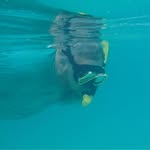 David Lyman - @davidmlyman - Instagram