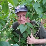 David Lyman - @davelyman1955 - Instagram
