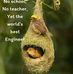 David Lyne - Facebook