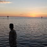 David Schick - @davidlyneschick - Instagram