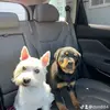 David_Maae - @dsm884 - TikTok