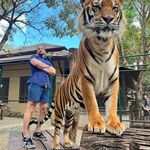 David Macfarlane - @davesofourlives91 - Instagram