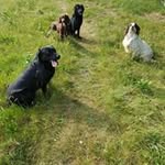 David Machin - @david.machin.16547 - Instagram