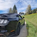 David MacLeod - @mustangmacleod - Instagram