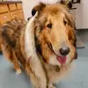 David MacLeod - @david.macleod20 - TikTok