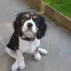David Macnamara - @david.macnamara - TikTok