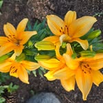 Brian David MacPhee - @macphee568 - Instagram