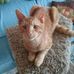 David Mahn - Facebook