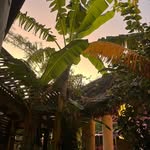 David Maiden - @davidmaiden - Instagram