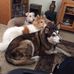 Dave Maiman - Facebook