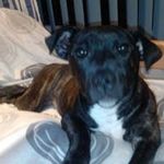 David Mains - @davidmains - Instagram