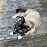 David Majors - @majorpkg - Instagram