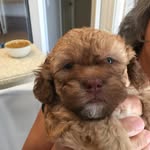 David Majors - @david.majors.90 - Instagram