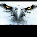 David Malcolm - @davidmalcolm4254 - Instagram