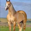 David Malen - @david.malen0 - TikTok