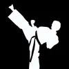 david.karate - @david.maletic.karate - TikTok