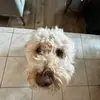 davidmalik79 - @davidmalik_ - TikTok