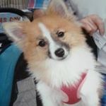 David Malinsky - @malinskydavid - Instagram