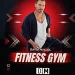 David Mallol |entrenamiento personal & asesoramiento online - @david_mallol_entrenador - Instagram