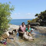 David Mallon - @david.mallon.77 - Instagram