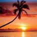 David Malmgren - Facebook