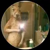 davidmamani472 - @davidmamani472 - TikTok