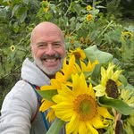 David Ambrose - @davidmambrose - Instagram