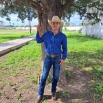 David Mancha - @manchadavid65 - Instagram