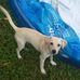 David Mancinelli - Facebook