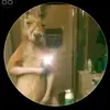 David Manco - @david.manco98 - TikTok