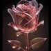 David Nancy - Facebook